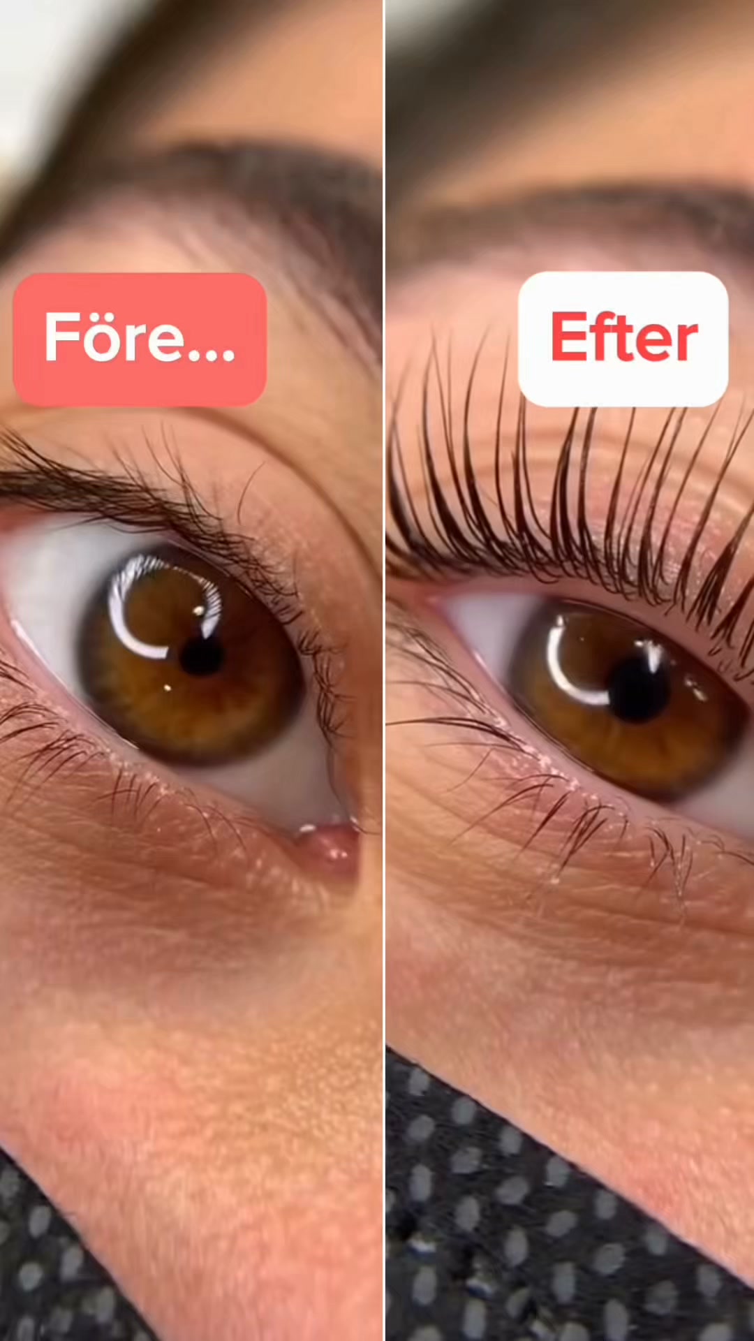 Lash Lift utan salongspris