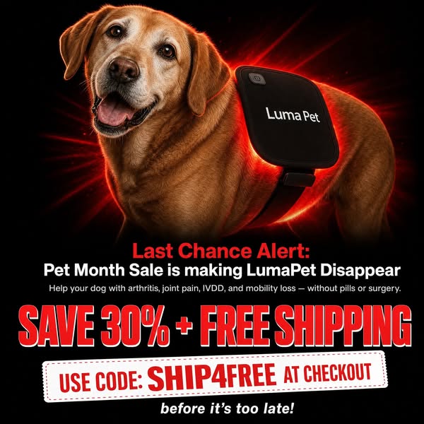 PET MONTH SALE: LumaPet Red Light