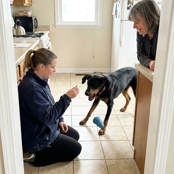 Why Dog Trainers Stopped Handing Out Popular Chews