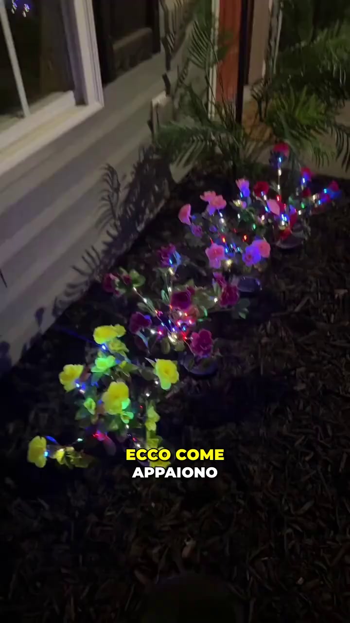 Goditi fiori che brillano di notte!