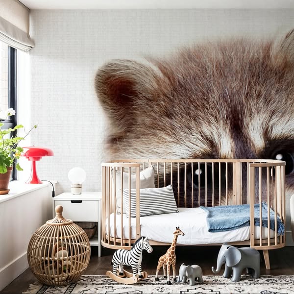 Peekaboo Raccoon