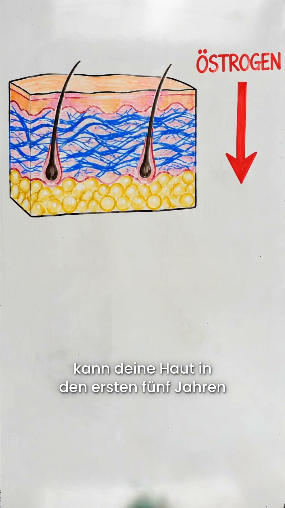 Was reifende Haut wirklich braucht