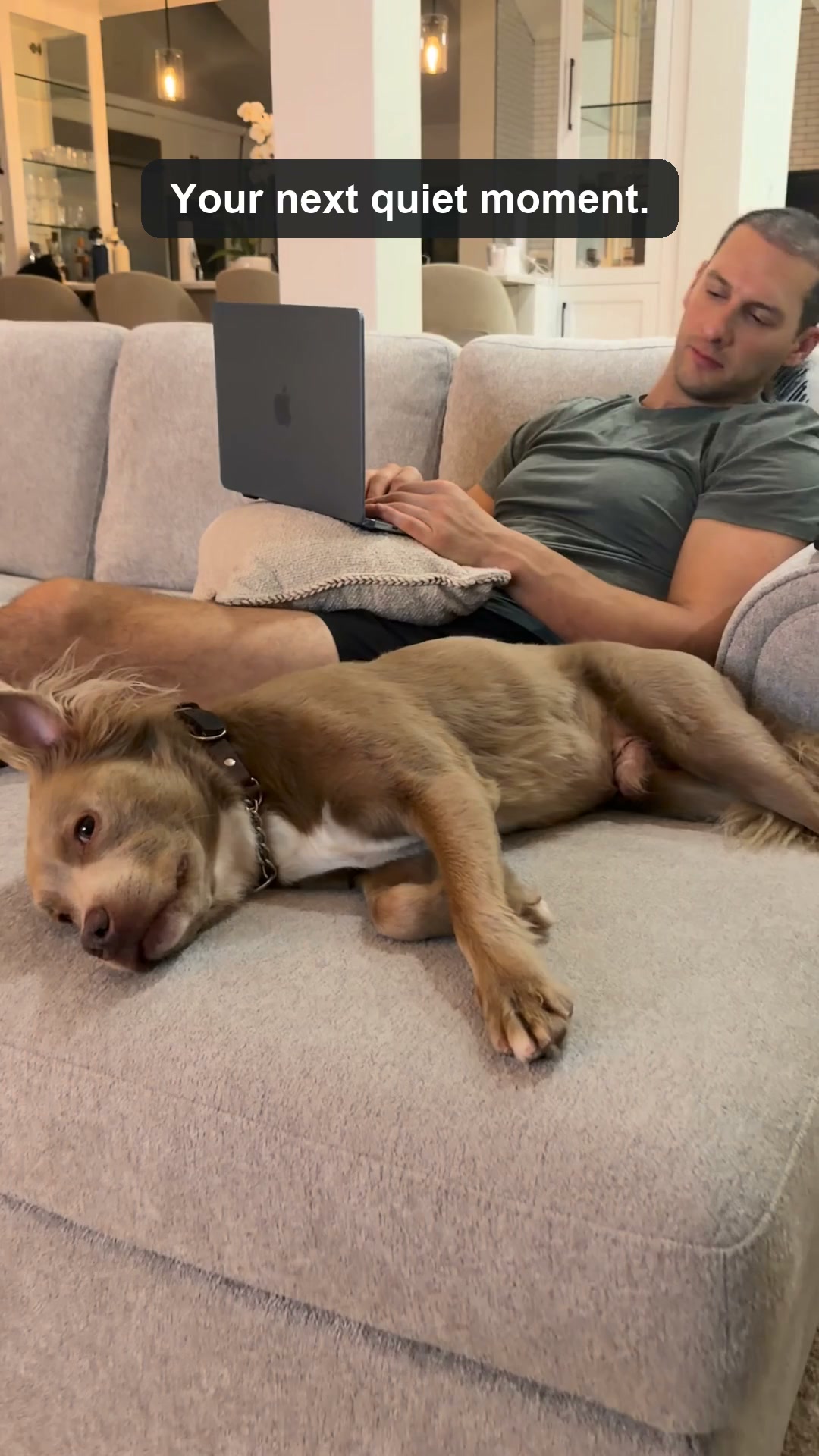 Why Dog Trainers Recommend Licking
