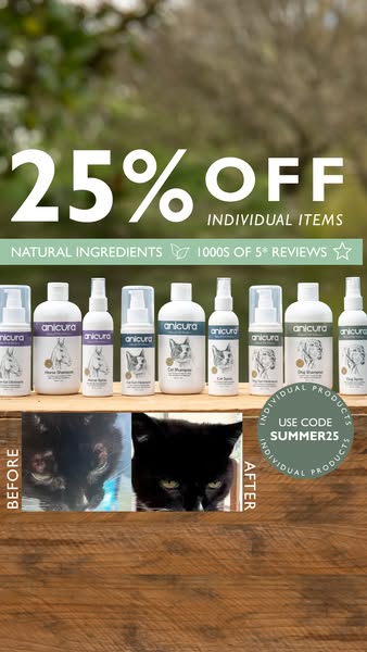 Huge Savings – 25% Off