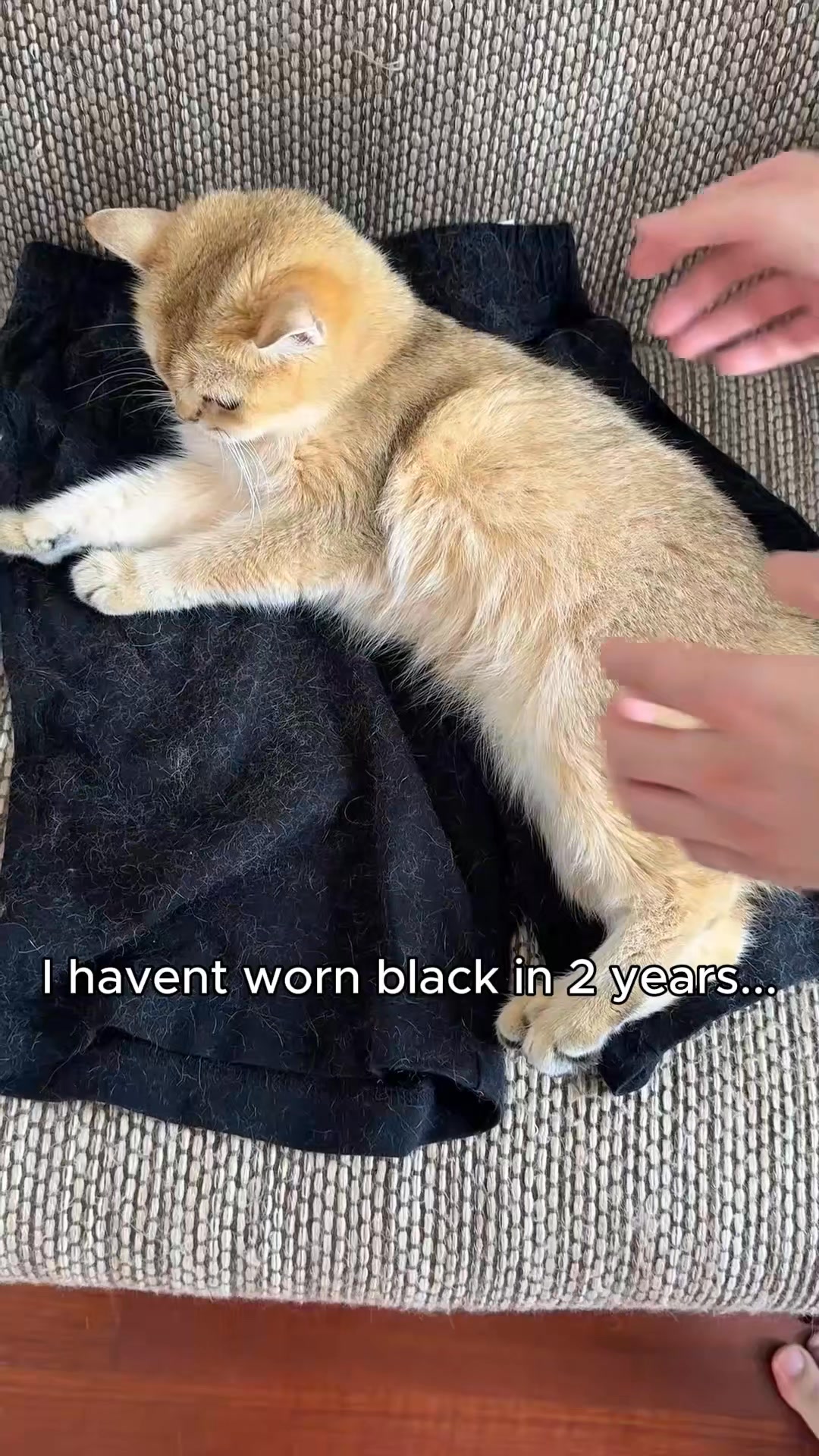 Tired of Pet Hair Everywhere?