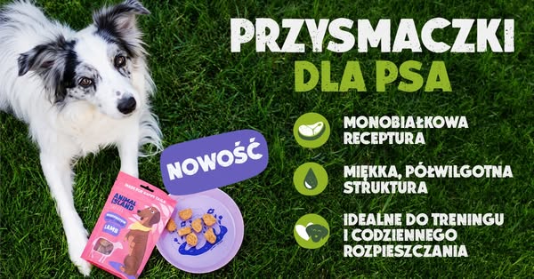 Smaczki dla psa