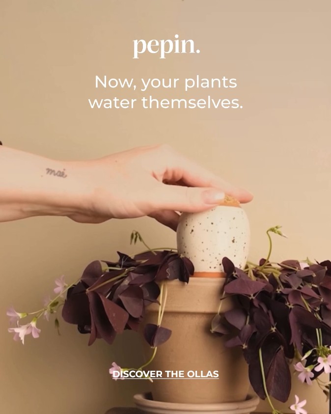 Your new plant sitter