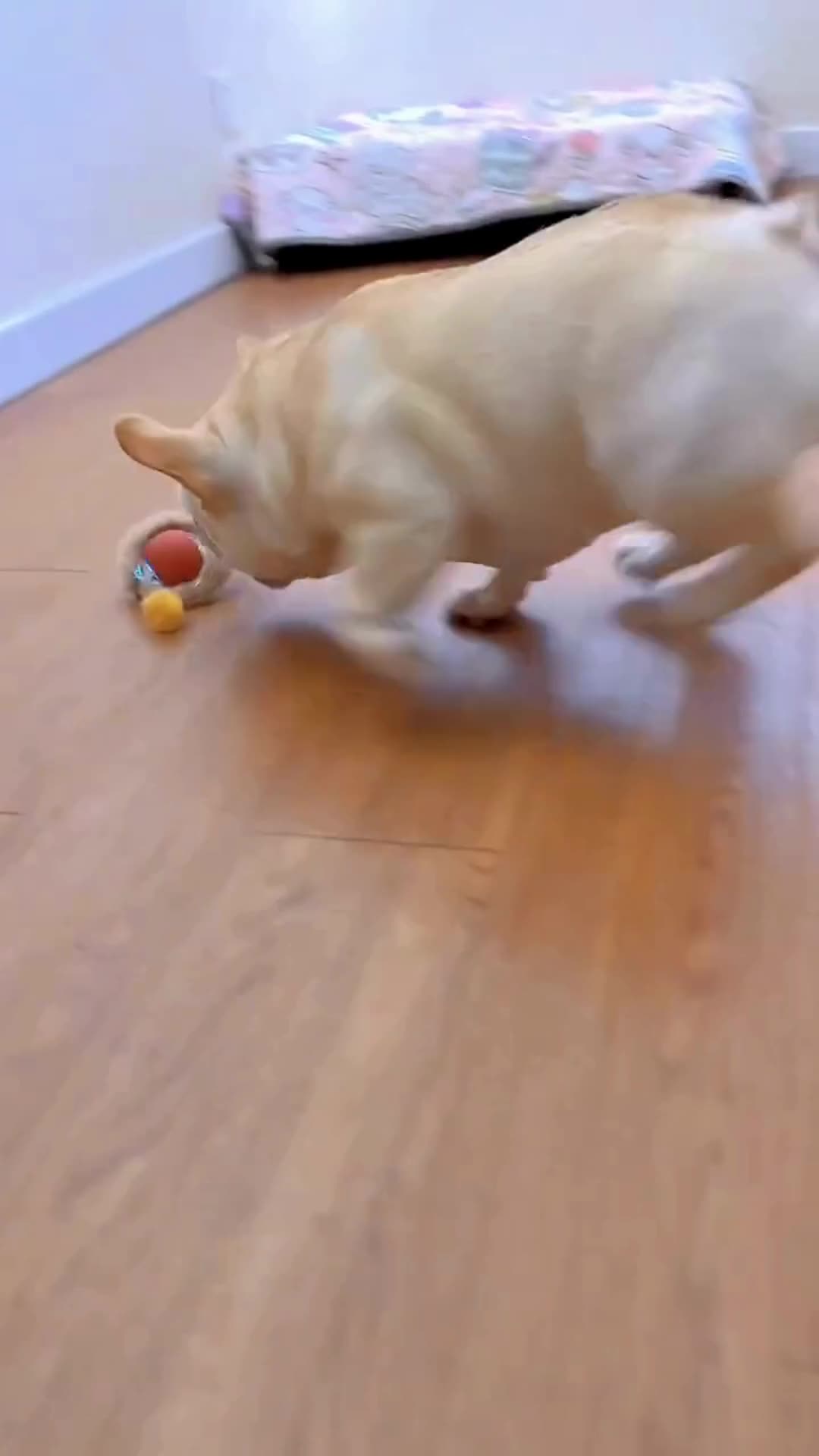 #1 Spielball
