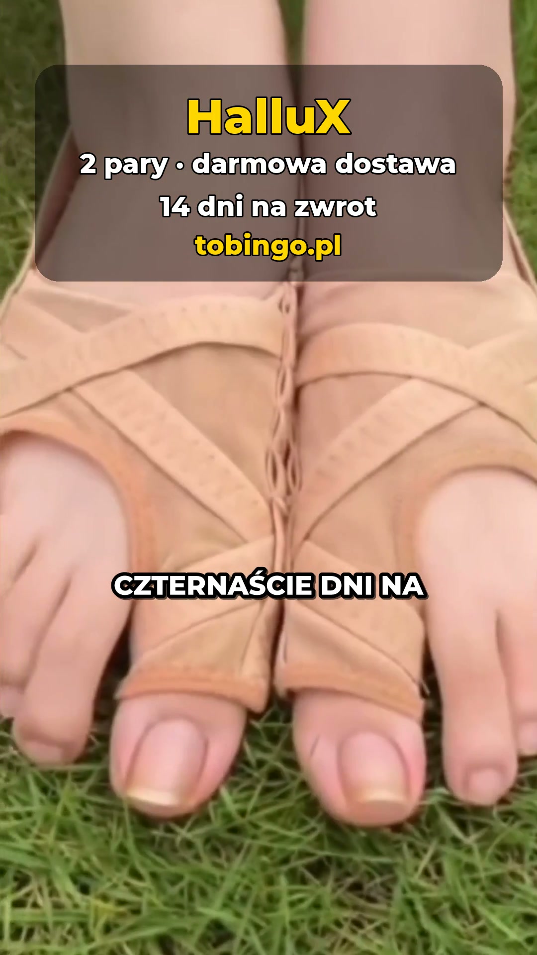 4.9/5