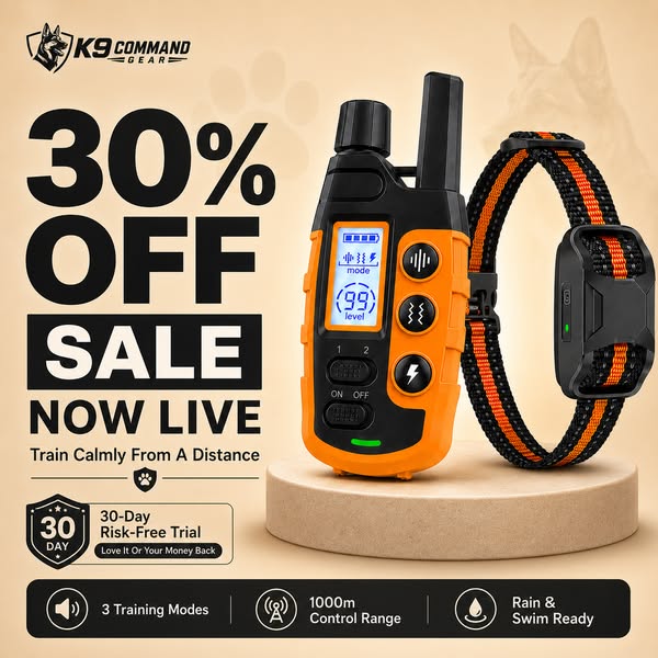 Enhance Your Dog Habits