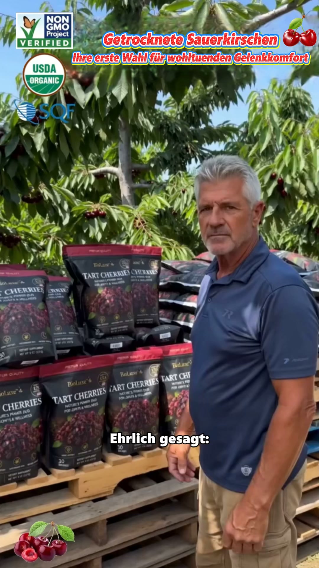 Premium getrocknete Kirschen aus Chile! Natürlicher Fruchtsnack aus den Anden‑Plantagen