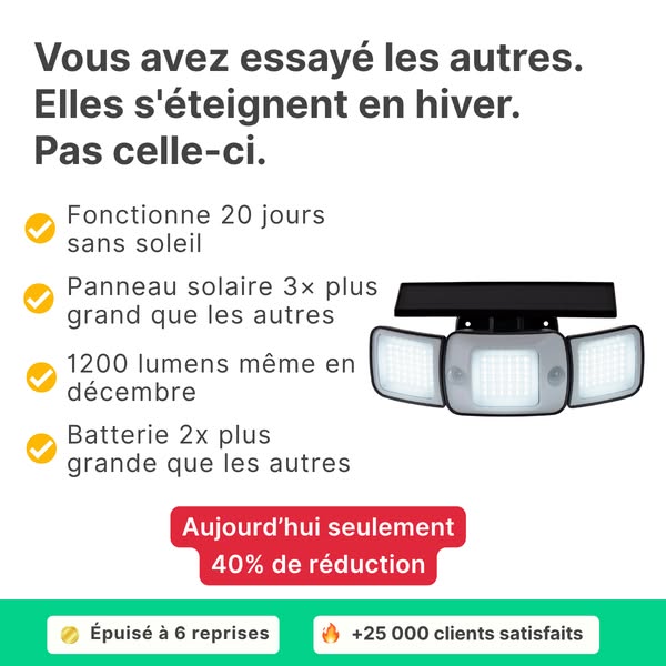 L’éclairage qui ne vous abandonne pas en hiver
