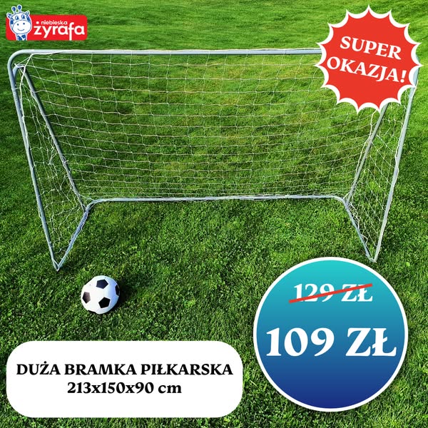 Nie przegap okazji! Bramka za 109 zł