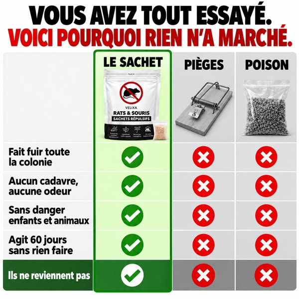 Plus de 16'000 clients satisfaits