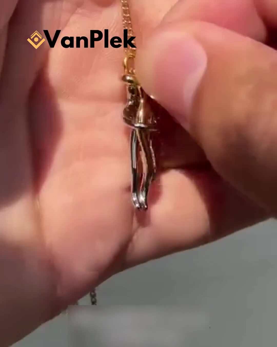 Anúncio de Van Plek