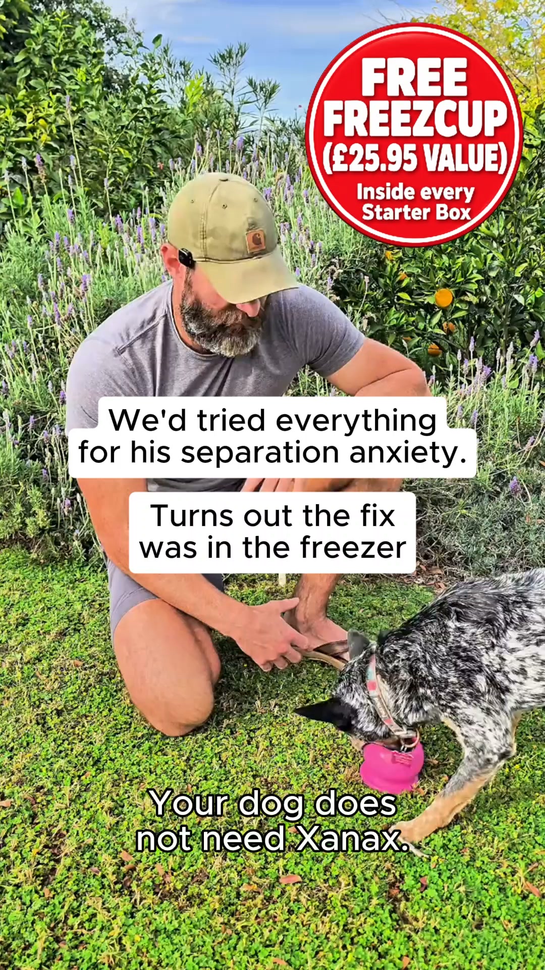 The FreezBall 3-Pack