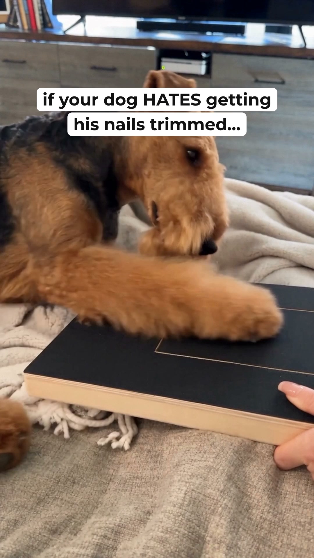 He files his nails while he digs for a treat