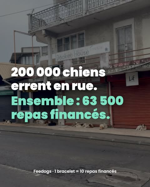 1 bracelet = 10 repas financés