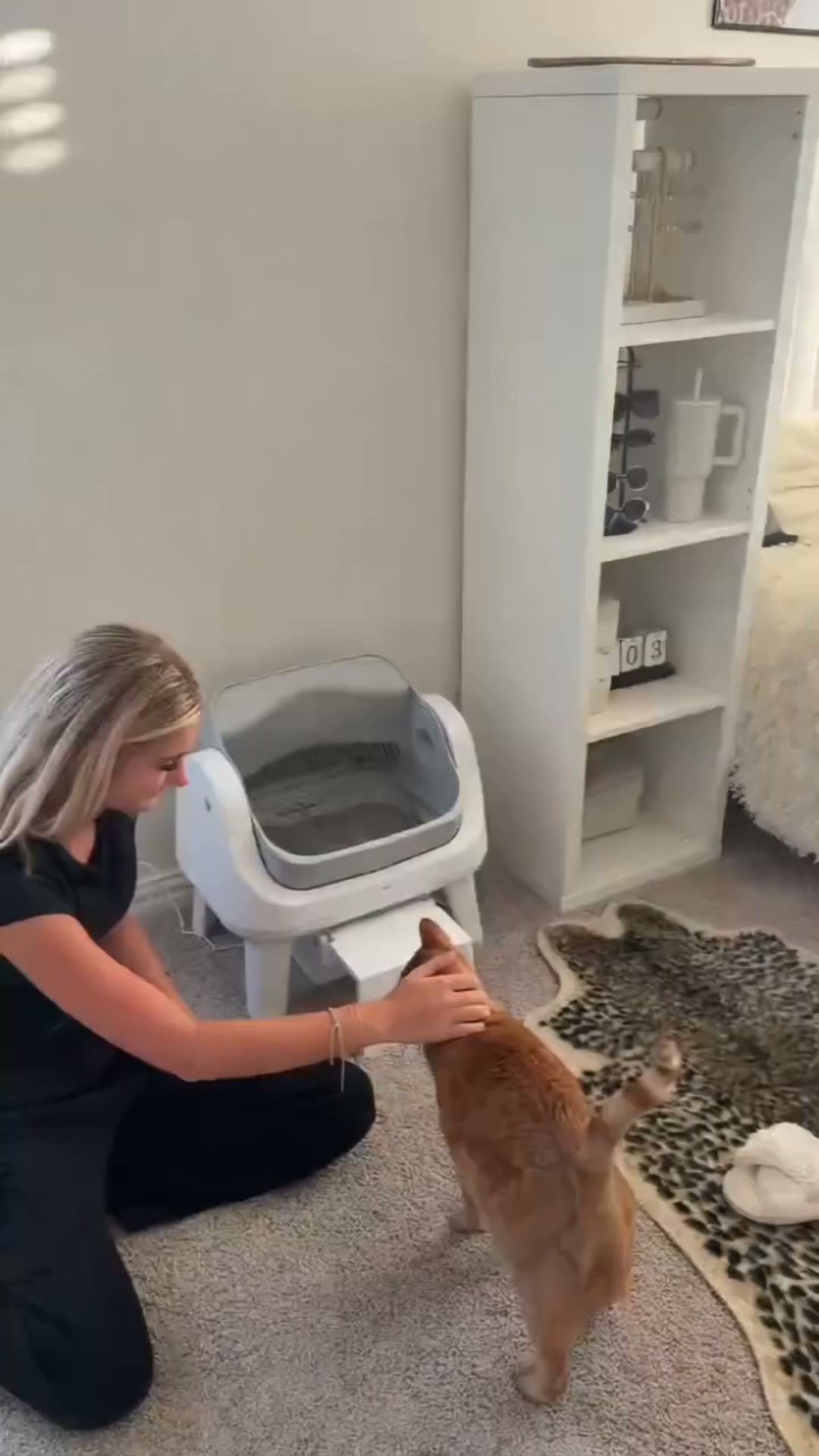 Aperta: il gatto non ha paura
