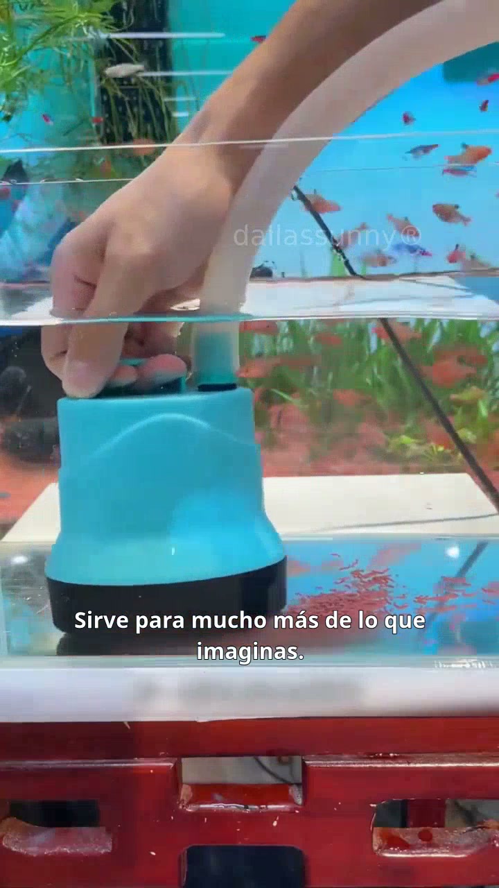 Anúncio de DallasSunny Shop