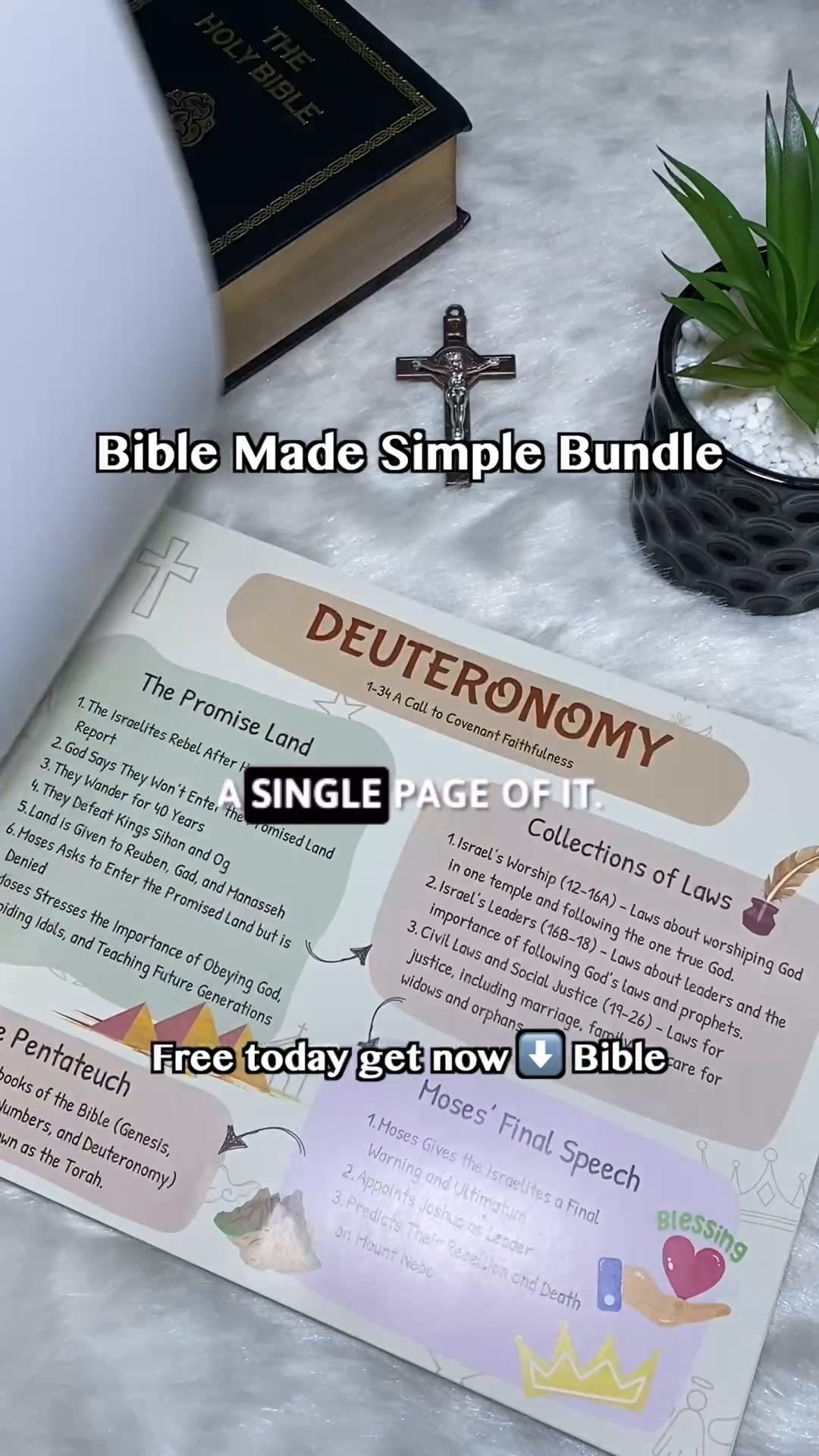 Free Today
