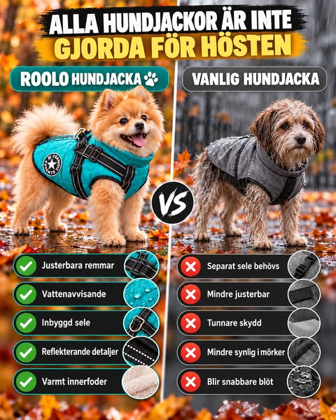 Se erbjudandet
