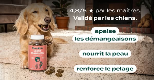 Une recette gourmande