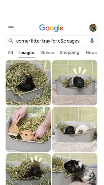 The 5-Minute Cage Clean Hack