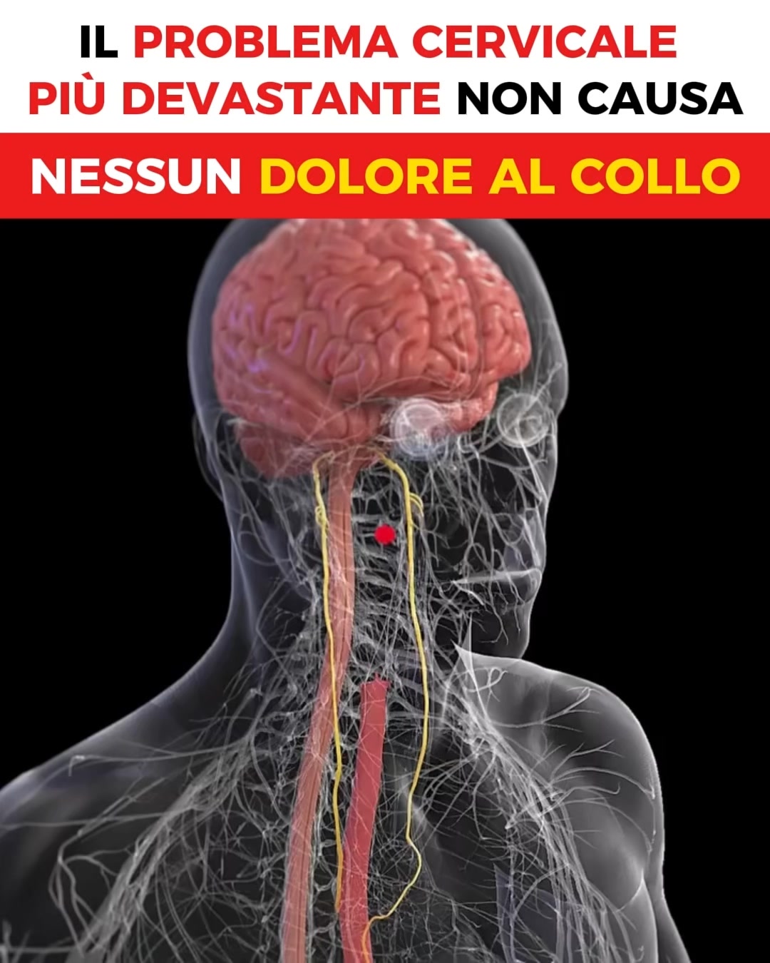 Perché Giramenti di Testa, Tachicardia e Reflusso Spesso Iniziano dal Collo