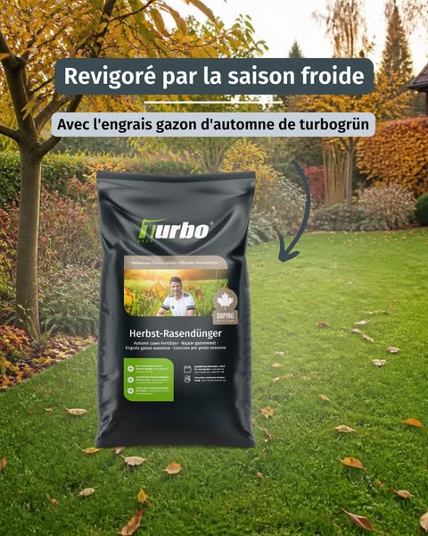Sauver son gazon après l'été