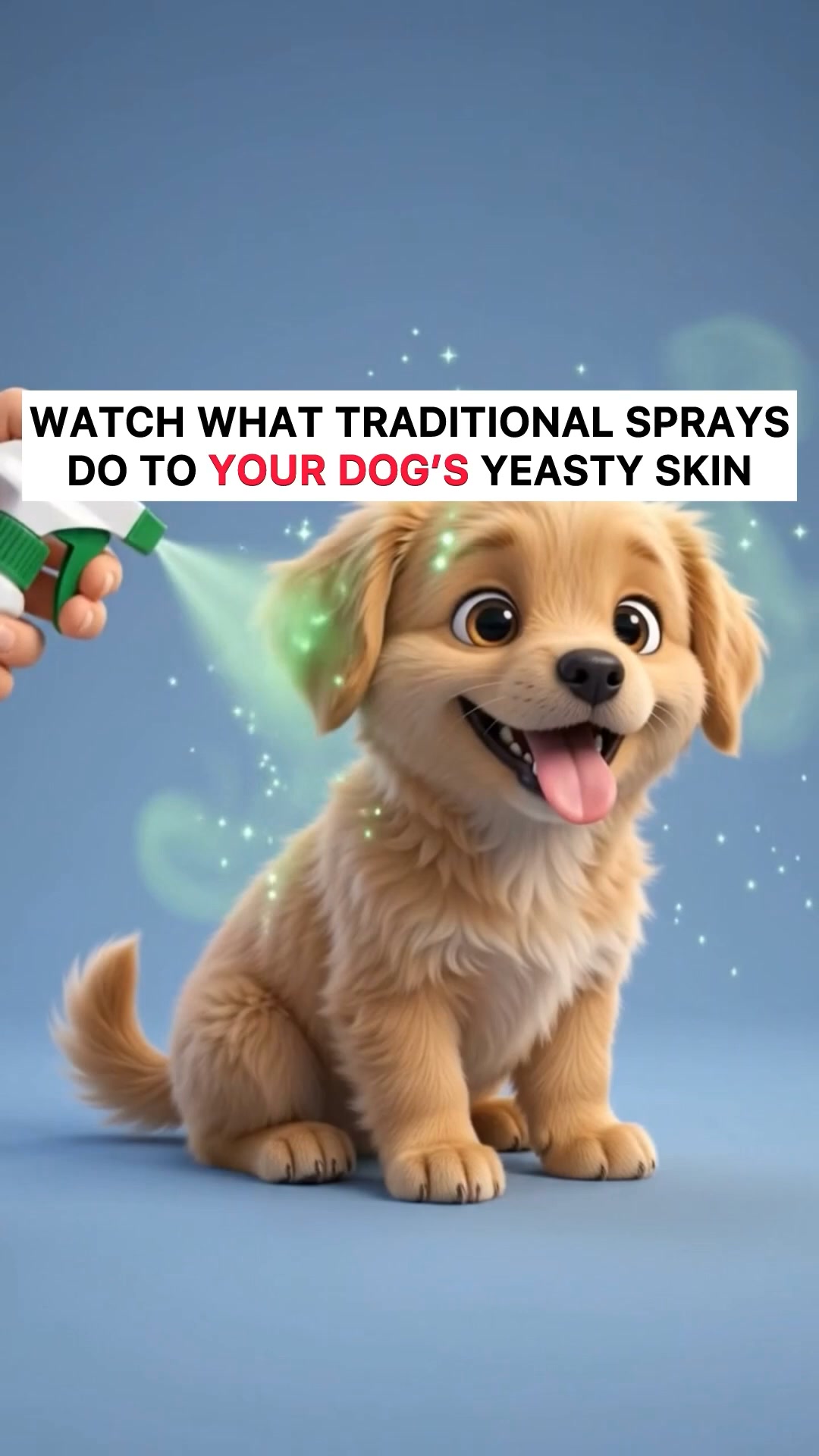 Target the cause. STOP the scratch for good