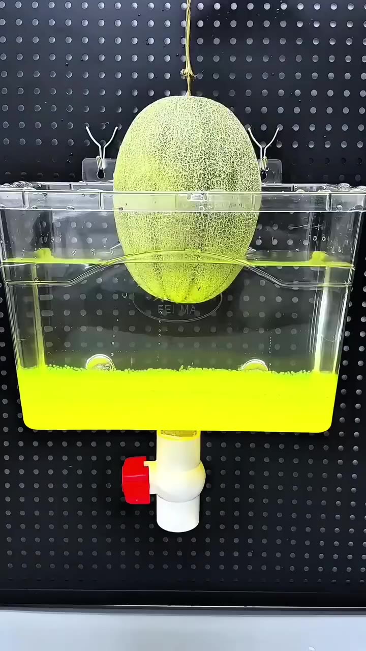 Built for hours of backyard fun
