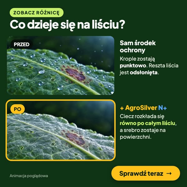Zobacz, co się zmienia na liściu