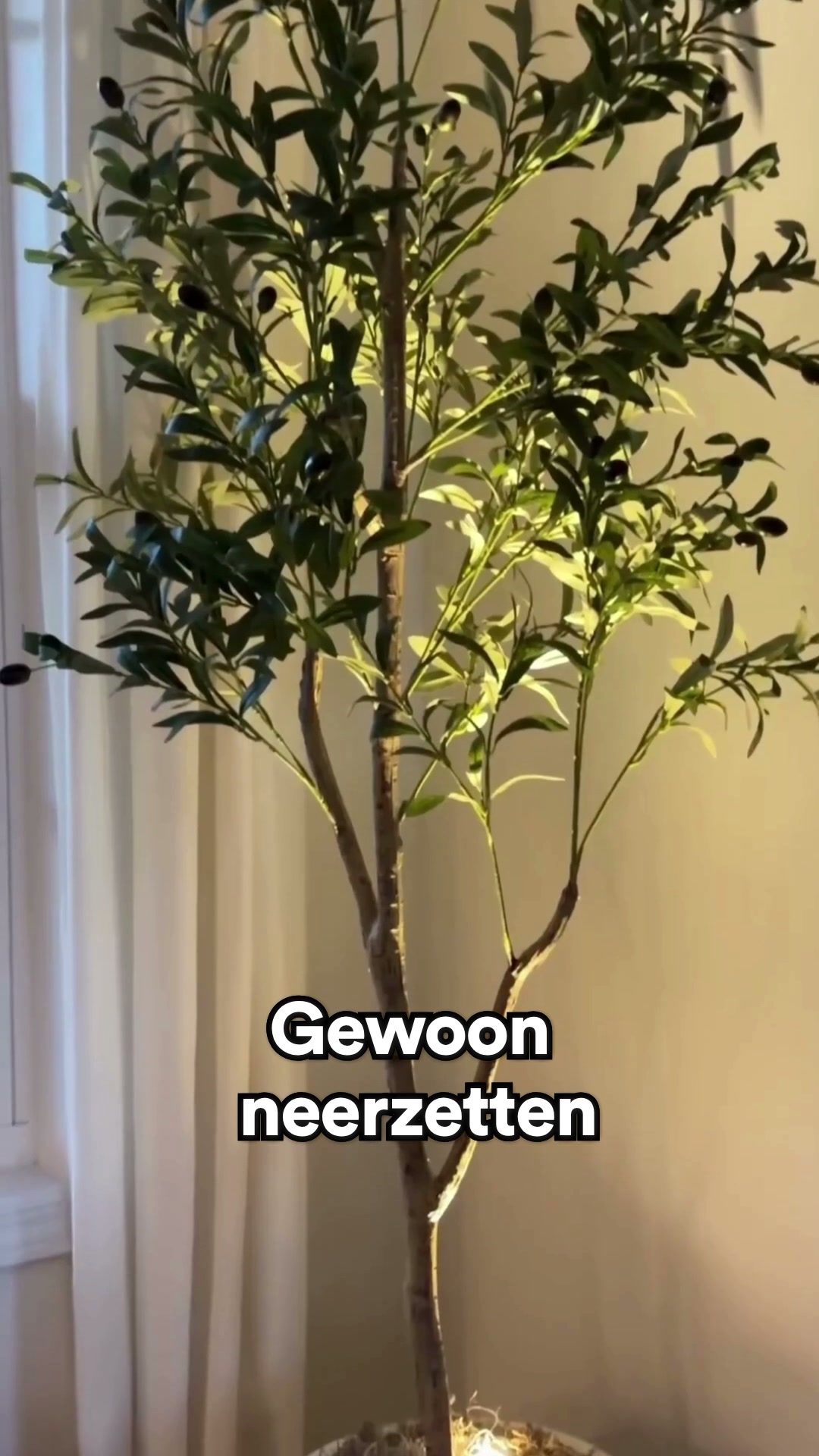 Van onzichtbaar naar middelpunt