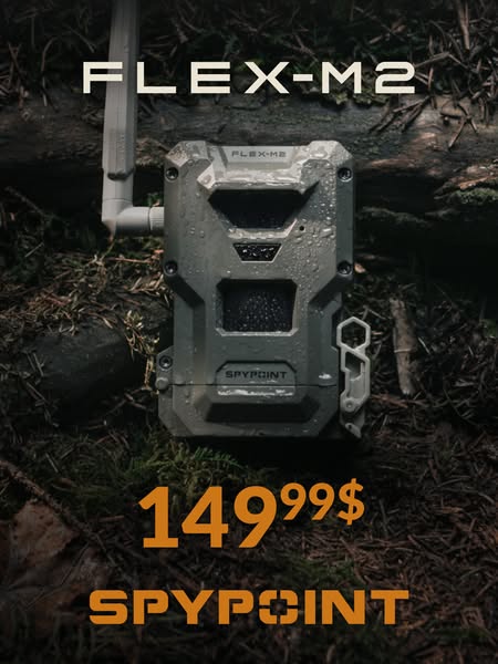 Le piège photo 4G FLEX-M2 - Ne manquez plus aucune prise