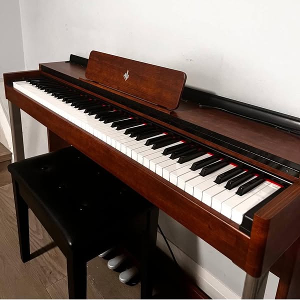 DDP-200 MK2