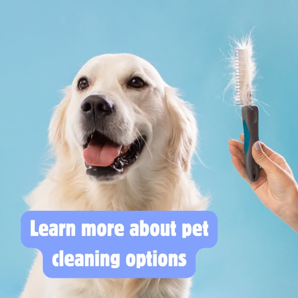 Learn more about pet cleaning options