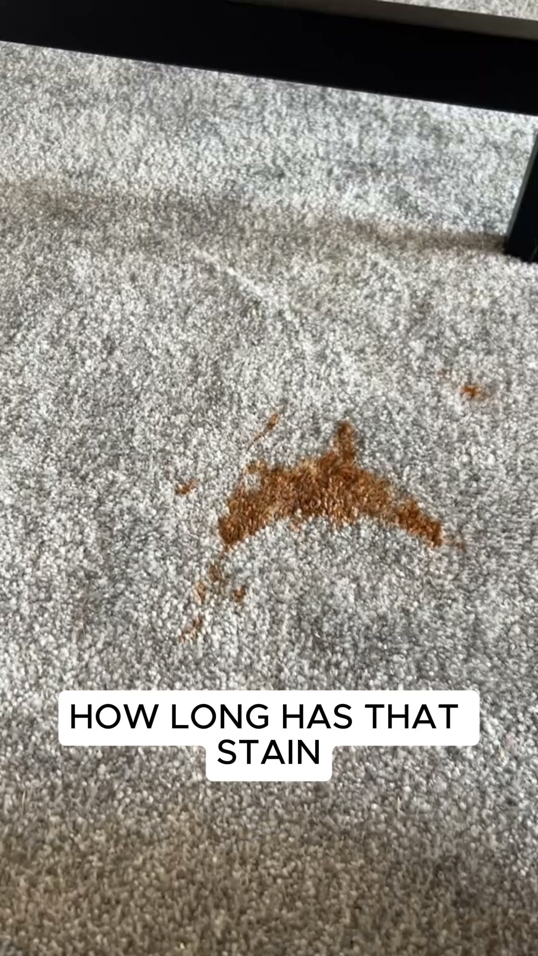 Nope... It's a New Carpet.