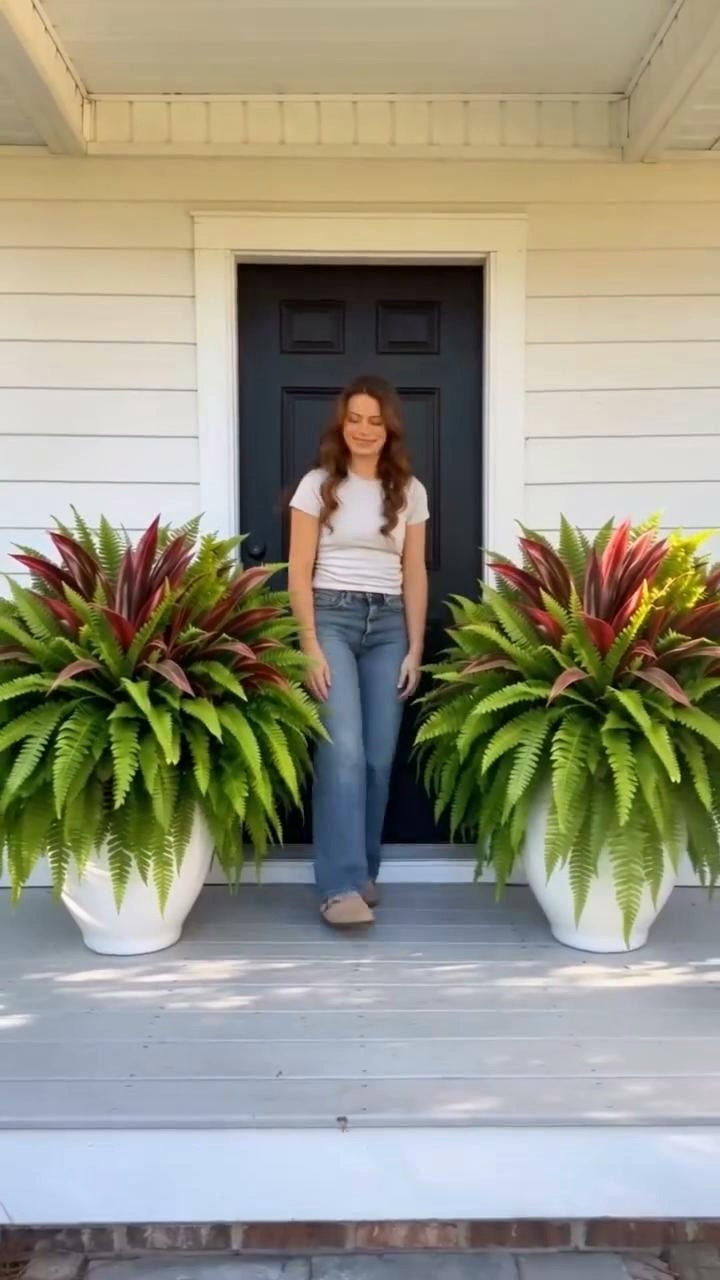 Summer SpecialUV-Resistant Artificial Fern & Red Dracaena Decorative Plants – Full, Lush & Fade-Resistant!