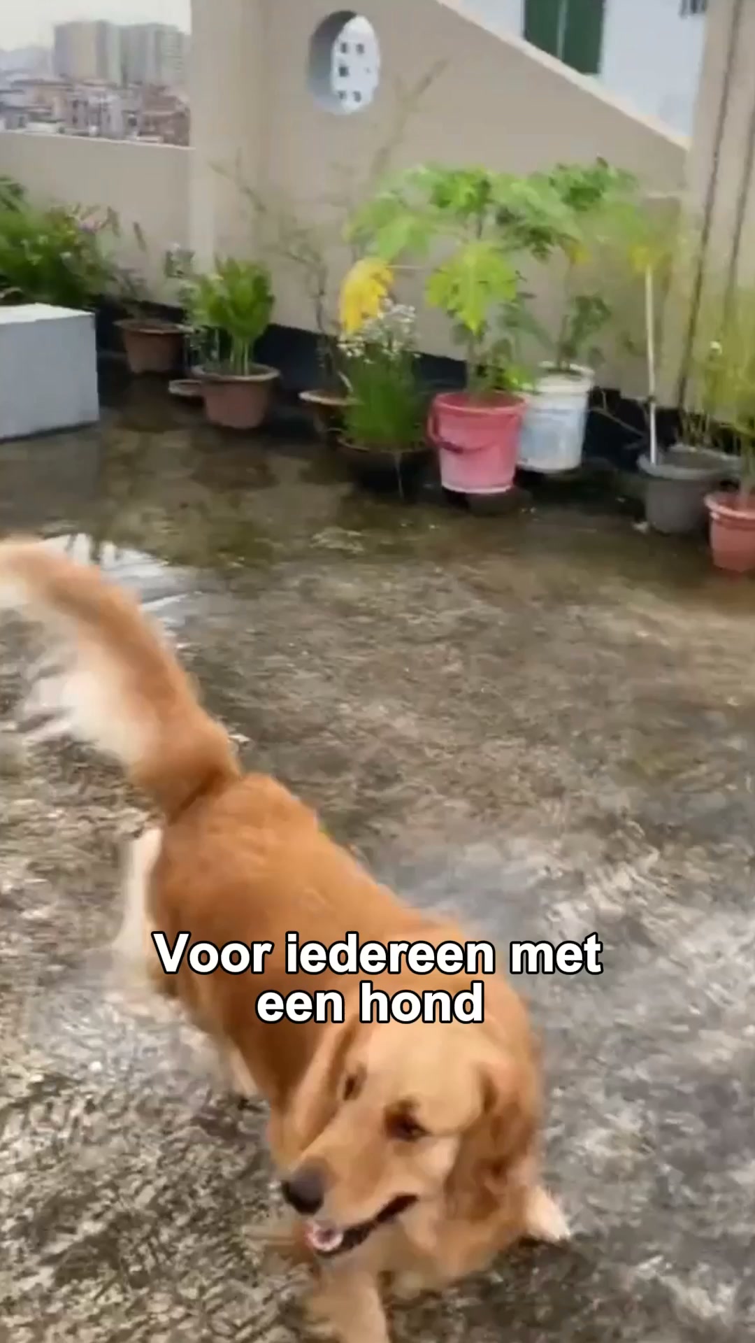 Maak van eten een uitdaging