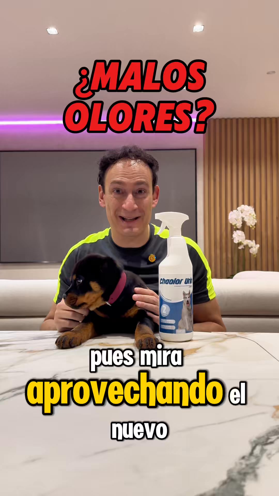 Pago contrareembolso gratis