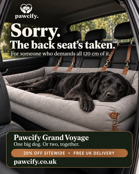 Sorry — the back seat's taken