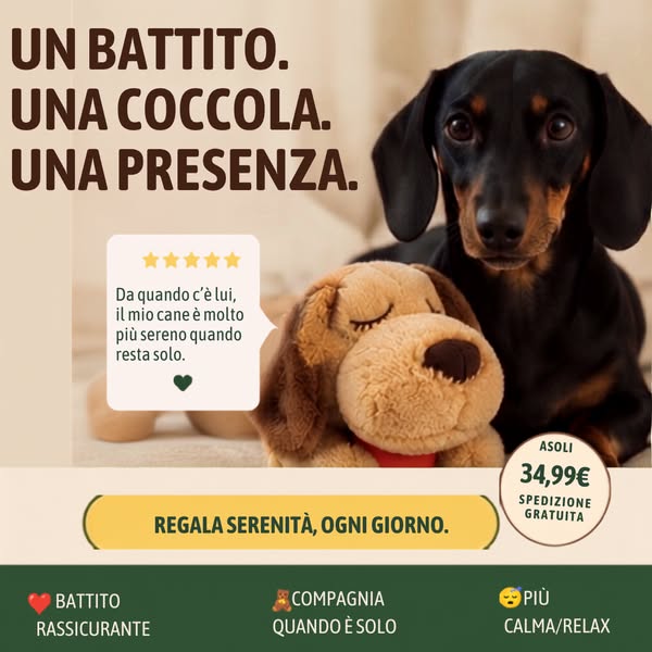Spedizione Gratuita