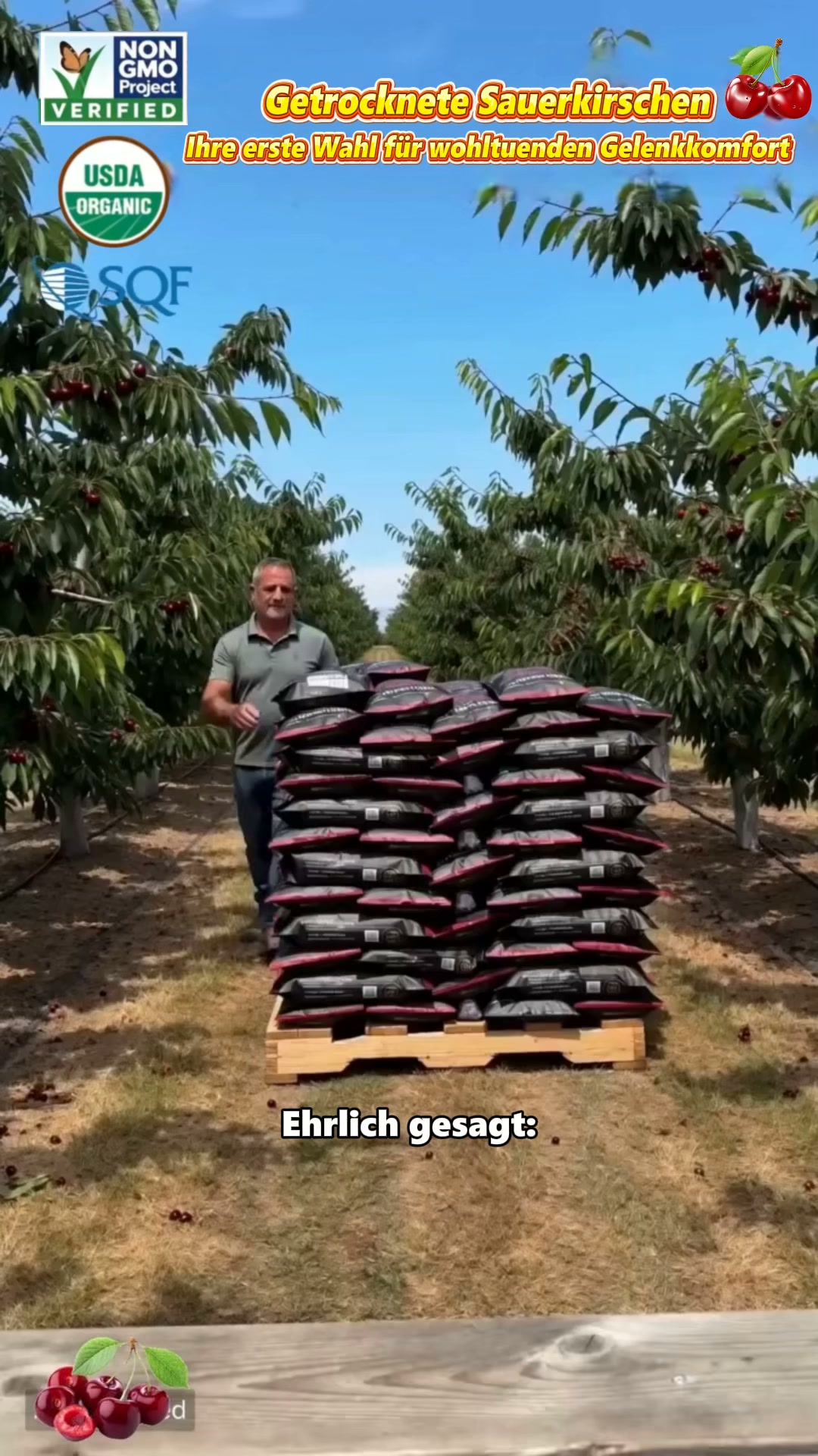 Premium getrocknete Kirschen aus Chile! Natürlicher Fruchtsnack aus den Anden‑Plantagen