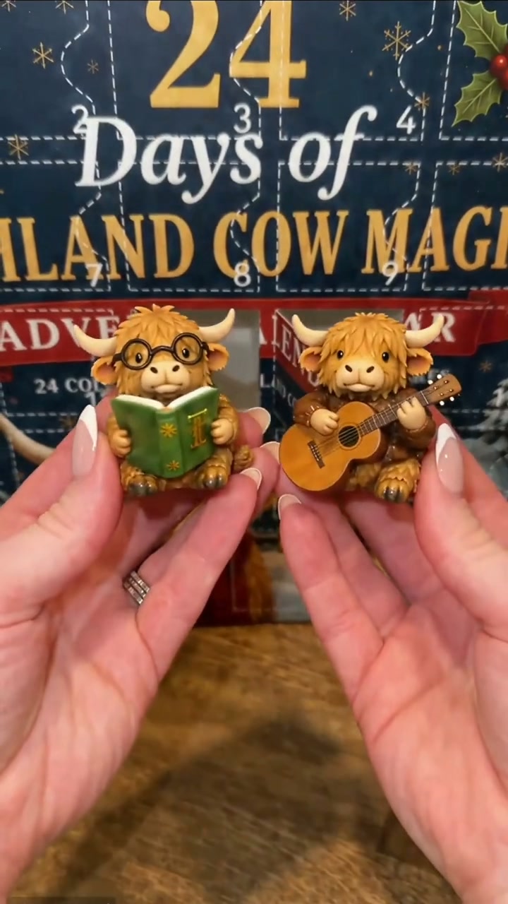 24 Days. 24 Highland Cows. 24 Christmas Surprises.