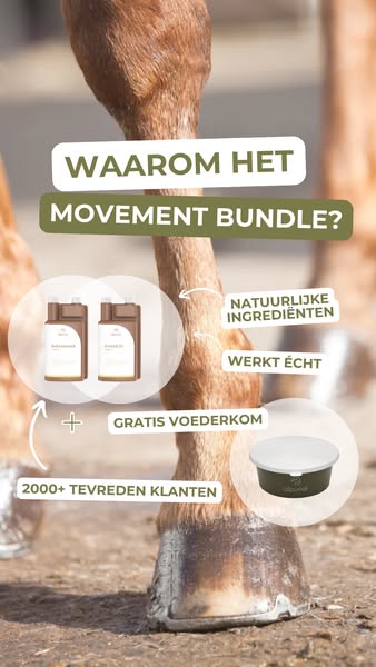 Van binnenuit de basis leggen voor bewegingsplezier