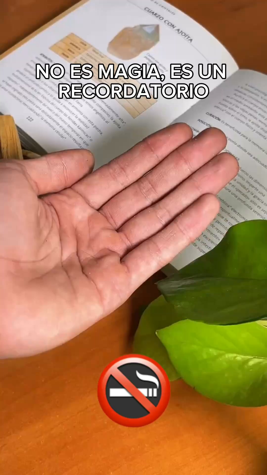 ENVÍO GRATIS 24h
