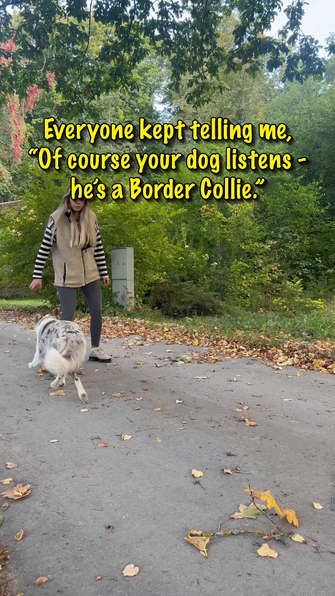 Get the revolutionary dog training book!
