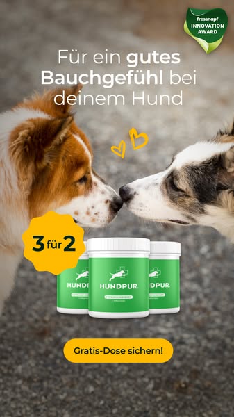 3 für 2 - nur für kurze Zeit