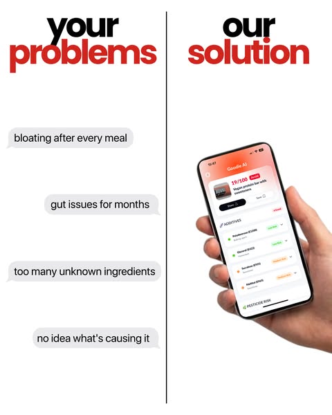 Goodie AI: Check Groceries